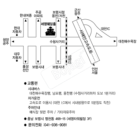 ��������Ȧ �൵ ���ڱ� ī�� ûø�� 