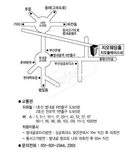 ��������Ȧ �൵ ���ڱ� ī�� ûø�� 