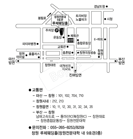 ��ü����Ȧ �൵ ���ڱ� ī�� ûø�� 