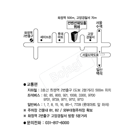 �����ǿ���Ȧ���� �൵ ���ڱ� ī�� ûø�� 