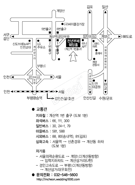 õ��������Ȧ(��õ) �൵ ���ڱ� ī�� ûø�� 