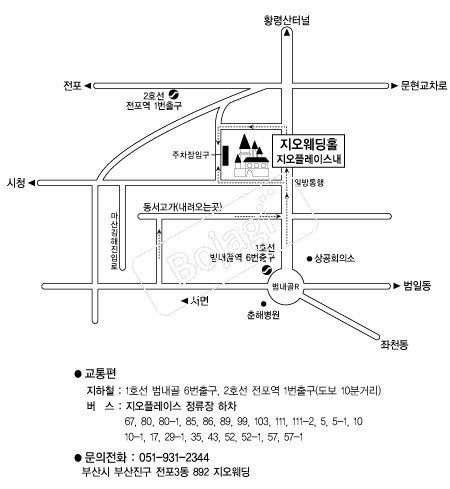 ��������Ȧ �൵ ���ڱ� ī�� ûø�� 