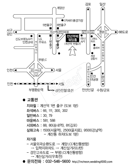 õ��������Ȧ(��õ) �൵ ���ڱ� ī�� ûø�� 