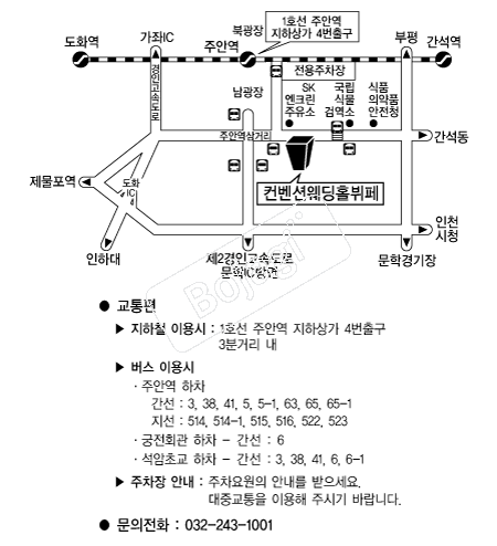 �����ǿ���Ȧ����(��õ) �൵ ���ڱ� ī�� ûø�� 