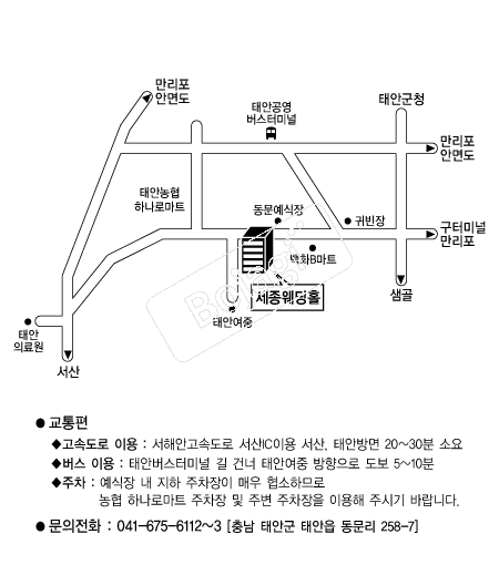 ��������Ȧ(�¾�) �൵ ���ڱ� ī�� ûø�� 