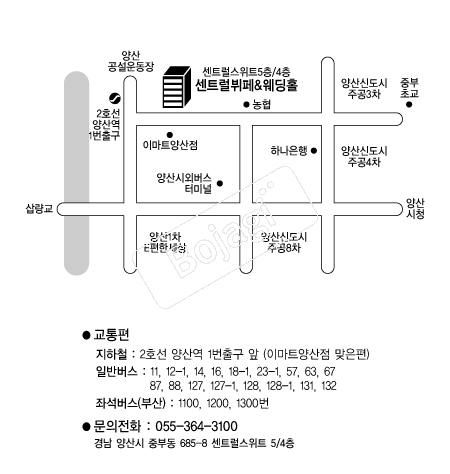 ��Ʈ������ �൵ ���ڱ� ī�� ûø�� 