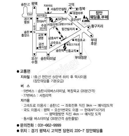 ��ȿ���Ȧ �൵ ���ڱ� ī�� ûø�� 