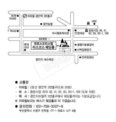 ���ڽ�����Ȧ �൵ ���ڱ� ī�� ûø�� 