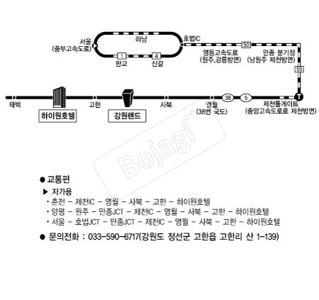 ���̿�ȣ�� �൵ ���ڱ� ī�� ûø�� 