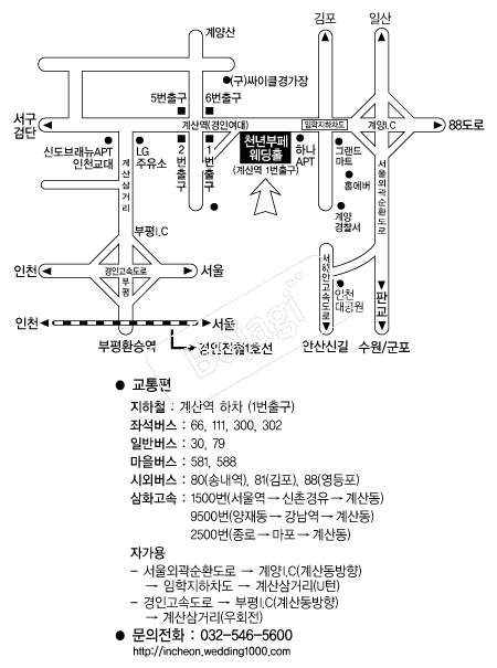 õ��������Ȧ(��õ) �൵ ���ڱ� ī�� ûø�� 