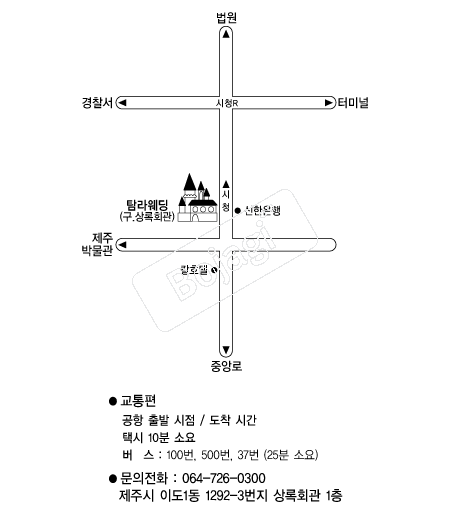 Ž����� �൵ ���ڱ� ī�� ûø�� 