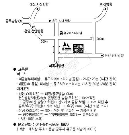 �׷��忹����(����) �൵ ���ڱ� ī�� ûø�� 