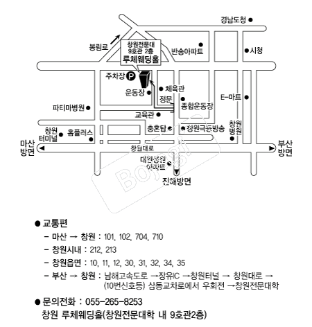 ��ü����Ȧ �൵ ���ڱ� ī�� ûø�� 