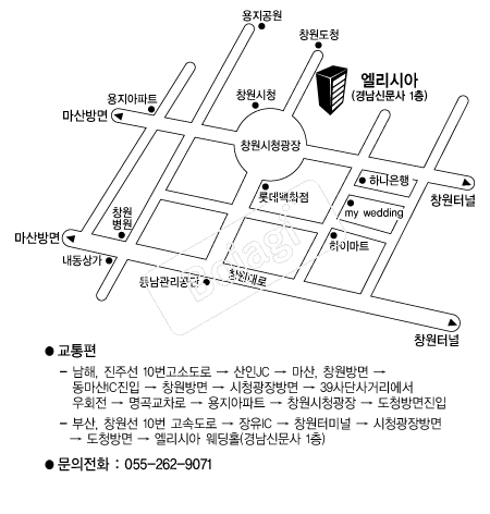 �����þ� �൵ ���ڱ� ī�� ûø�� 