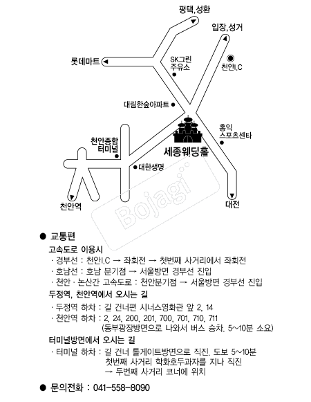 ��������Ȧ(õ��) �൵ ���ڱ� ī�� ûø�� 