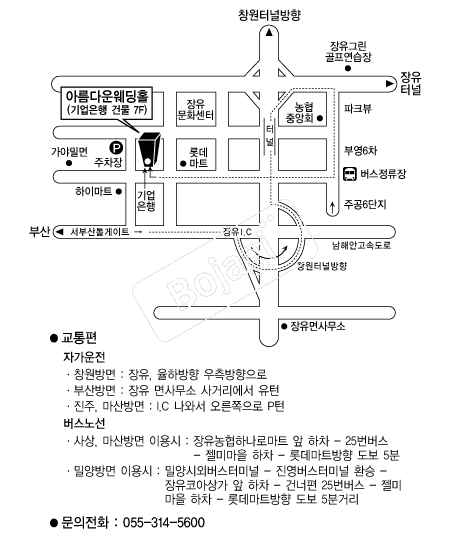 �Ƹ��ٿ����Ȧ(����) �൵ ���ڱ� ī�� ûø�� 