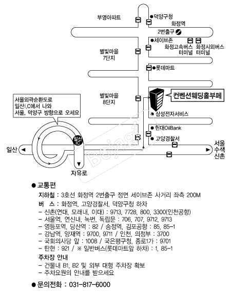 �����ǿ���Ȧ���� �൵ ���ڱ� ī�� ûø�� 