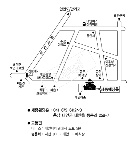 ��������Ȧ(�¾�) �൵ ���ڱ� ī�� ûø�� 