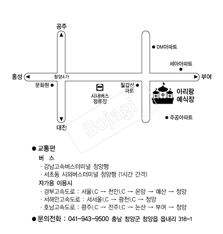 �Ƹ��������� �൵ ���ڱ� ī�� ûø�� 