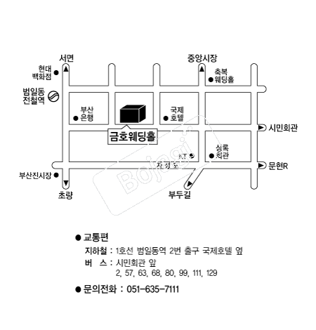 ��ȣ����Ȧ �൵ ���ڱ� ī�� ûø�� 