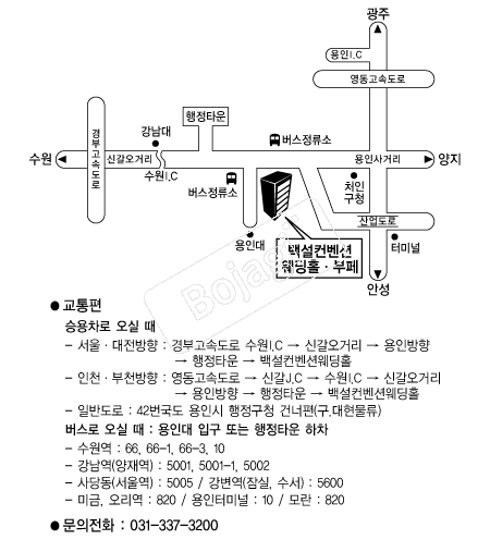 �鼳�����ǿ���Ȧ �൵ ���ڱ� ī�� ûø�� 