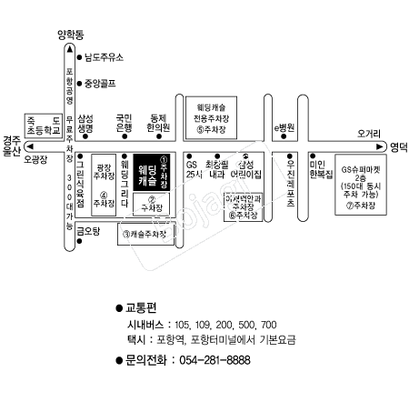 ����ĳ��(����) �൵ ���ڱ� ī�� ûø�� 