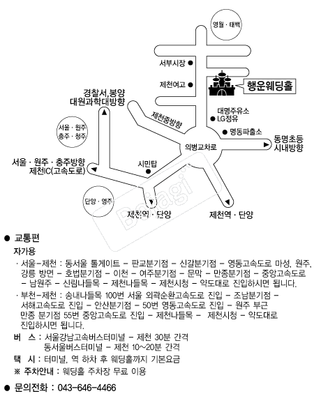 ������Ȧ �൵ ���ڱ� ī�� ûø�� 