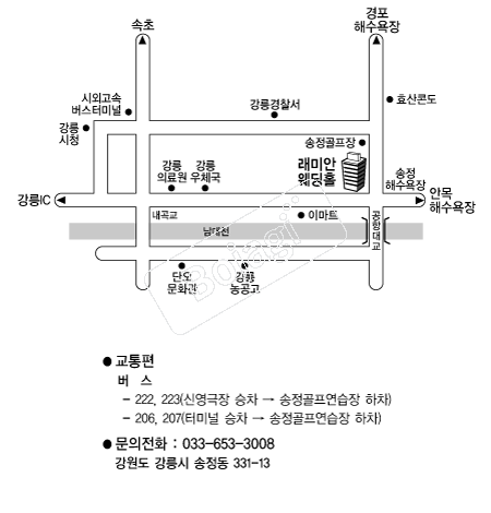 ���̾ȿ���Ȧ �൵ ���ڱ� ī�� ûø�� 