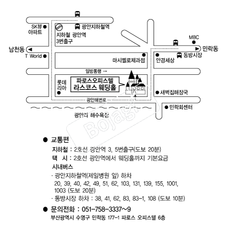 ���ڽ�����Ȧ �൵ ���ڱ� ī�� ûø�� 