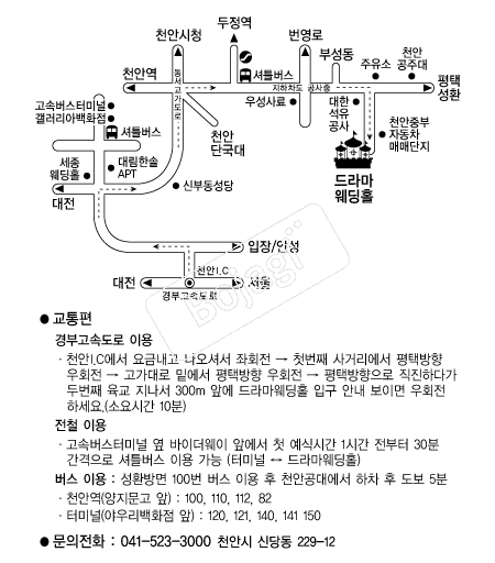 ��󸶿���Ȧ �൵ ���ڱ� ī�� ûø�� 