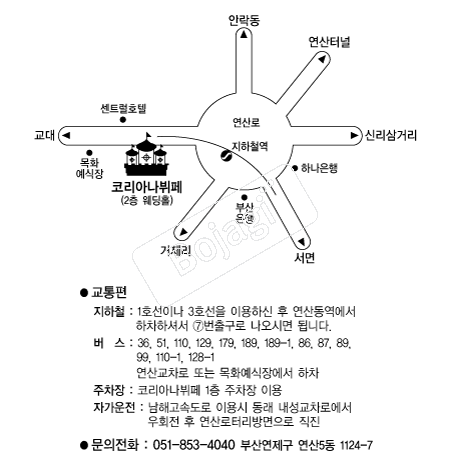 �ڸ��Ƴ����� �൵ ���ڱ� ī�� ûø�� 