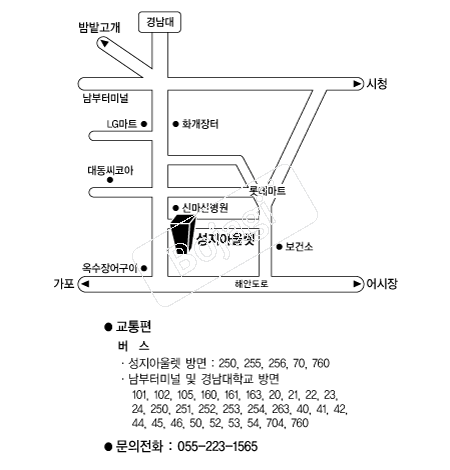 �����ƿ﷿�Ƹ𸣿��� �൵ ���ڱ� ī�� ûø�� 