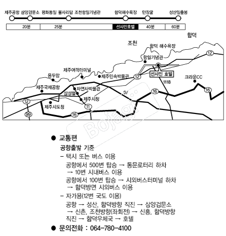 ���ּ�����ȣ�� �൵ ���ڱ� ī�� ûø�� 