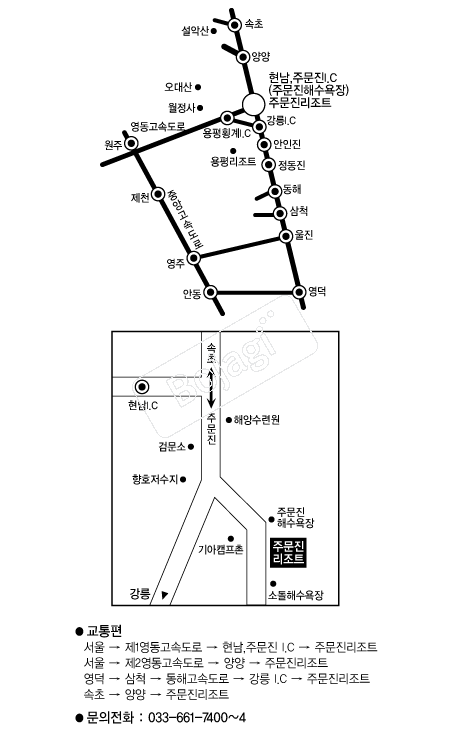 �ֹ�������Ʈ �൵ ���ڱ� ī�� ûø�� 