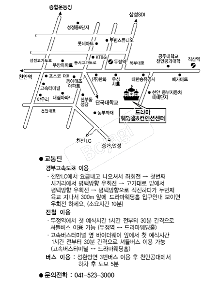 ��󸶿���Ȧ �൵ ���ڱ� ī�� ûø�� 