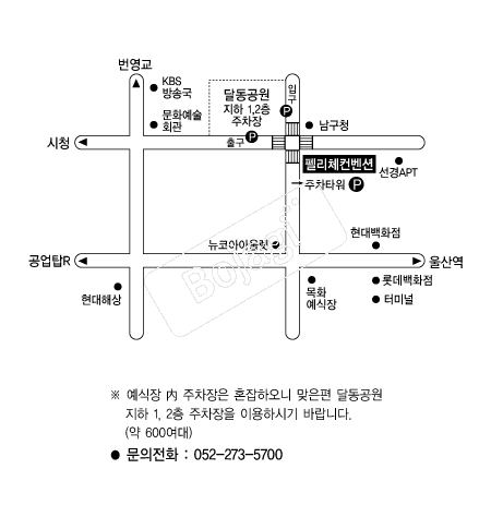�縮ü������ �൵ ���ڱ� ī�� ûø�� 