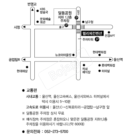 �縮ü������ �൵ ���ڱ� ī�� ûø�� 