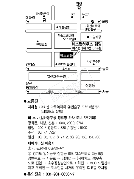 �������Ͽ콺 �൵ ���ڱ� ī�� ûø�� 