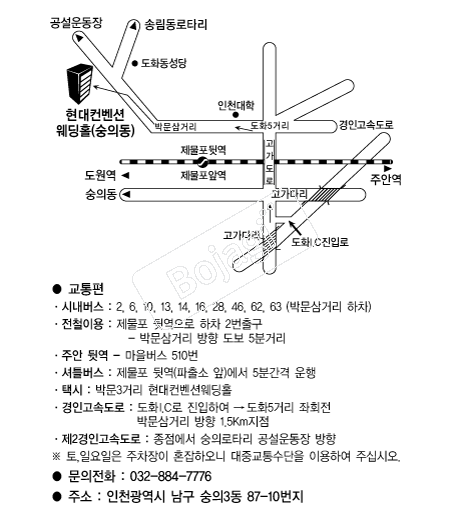 ���������ǿ���Ȧ(������) �൵ ���ڱ� ī�� ûø�� 