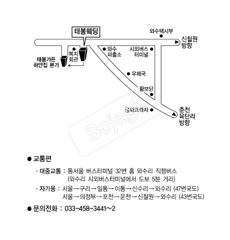 �º�����Ȧ �൵ ���ڱ� ī�� ûø�� 