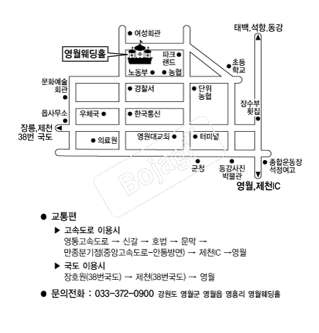 ��������Ȧ �൵ ���ڱ� ī�� ûø�� 