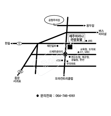 ������ȣ�� �൵ ���ڱ� ī�� ûø�� 