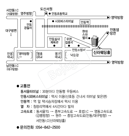 �Ŷ�������Ȧ �൵ ���ڱ� ī�� ûø�� 