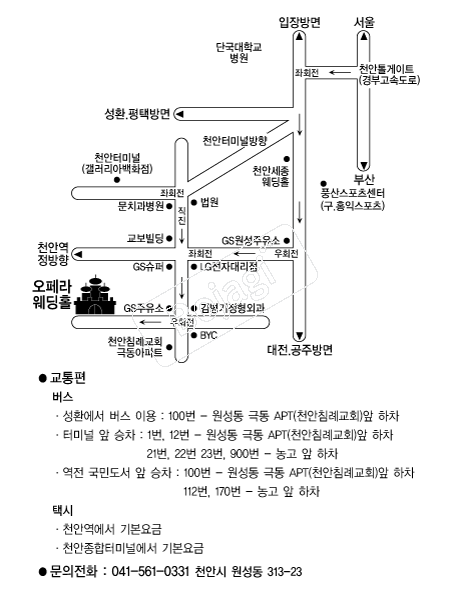 ��������Ȧ(õ��) �൵ ���ڱ� ī�� ûø�� 