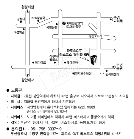 ���ڽ�����Ȧ �൵ ���ڱ� ī�� ûø�� 