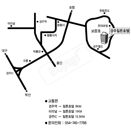 ��ưȣ��(����) �൵ ���ڱ� ī�� ûø�� 