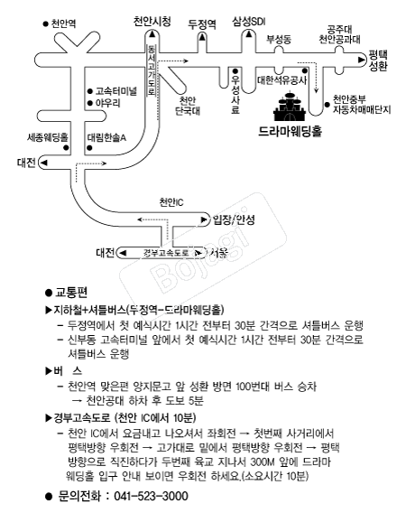 ��󸶿���Ȧ �൵ ���ڱ� ī�� ûø�� 