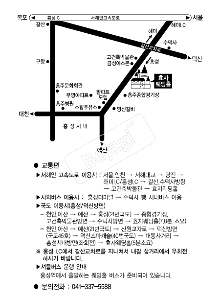 ȿ�ڿ���Ȧ �൵ ���ڱ� ī�� ûø�� 