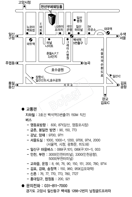 õ��������Ȧ(����) �൵ ���ڱ� ī�� ûø�� 