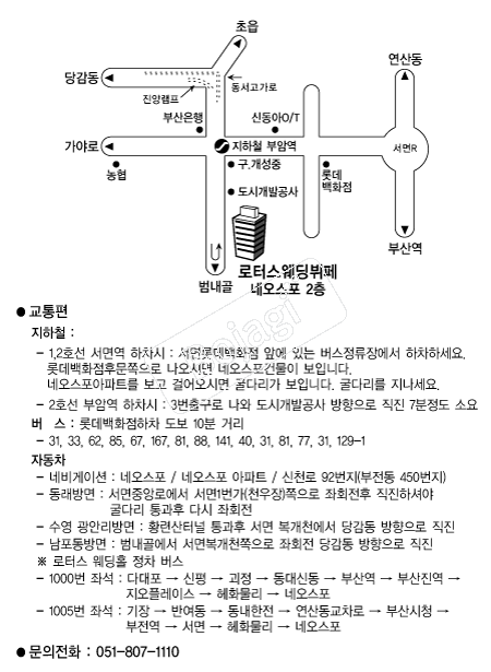 ���ͽ�����Ȧ �൵ ���ڱ� ī�� ûø�� 